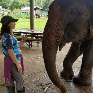 Meet your Posher, Bridget